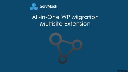 [LATEST] All-In-One WP Migration Multisite Extension v4.37