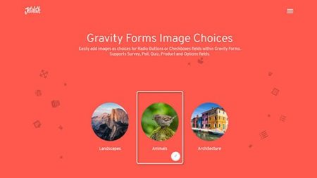 Gravity Forms Image Choices Add-On V1.5.3