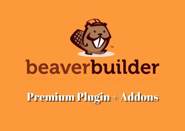 Beaver Builder - Drag & Drop Page Builder (Pro) V2.8.4.4