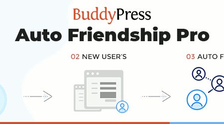 BuddyPress Auto Friendship Pro v1.2.1
