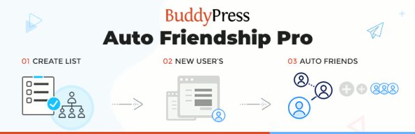 BuddyPress Auto Friendship Pro v1.2.5