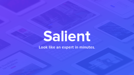 Salient - Responsive Multi-Purpose Themes V17.0.3