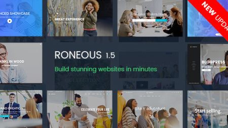 Roneous - Creative Multi-Purpose WordPress Theme V2.0.7