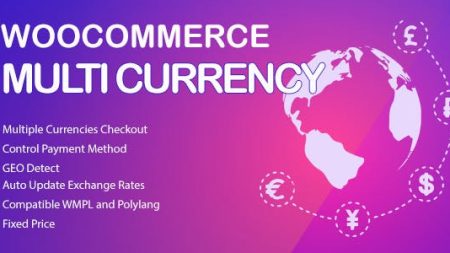WooCommerce Multi Currency - Currency Switcher v2.3.3