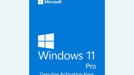 Windows 11 Professional | Digital License Key | Online Activation